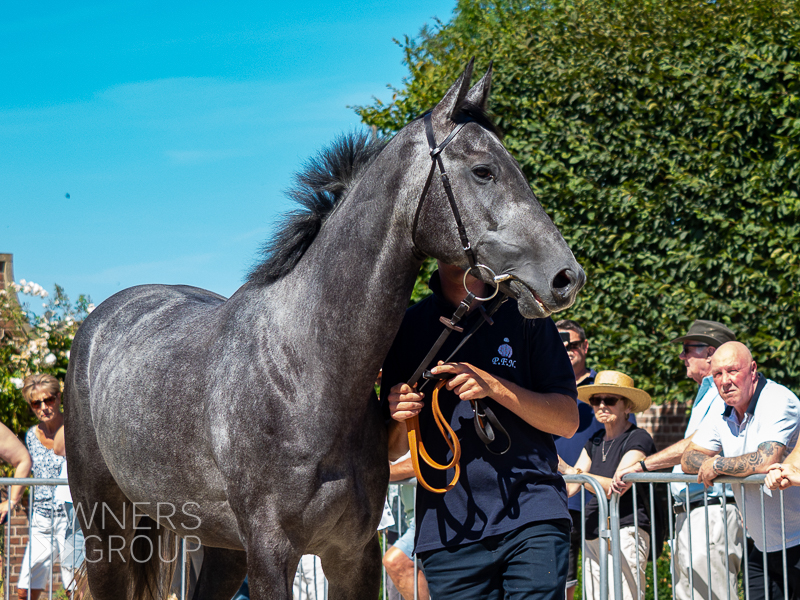 Paul Nicholls Visit - 7 August 2022